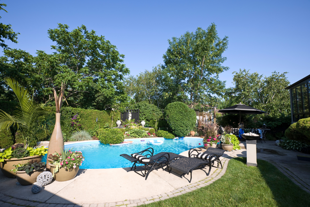 entretien jardin, terrasse, piscine